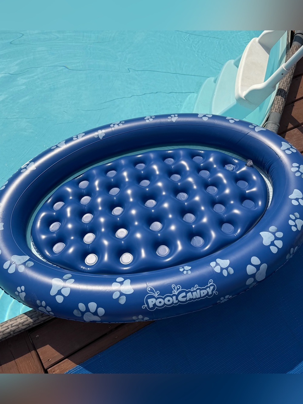 Inflatable Pet Float - Pool float for Dogs All Sizes - Picture 4 of 8